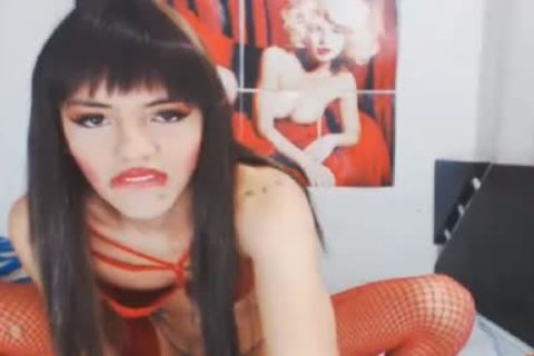 latina tgirl receives Her stunning butthole fucked