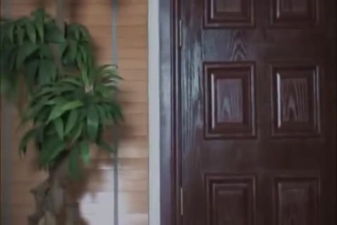 poke The Plumber