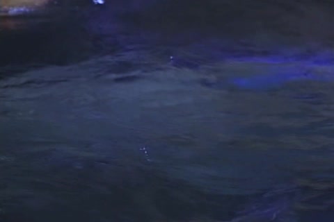 JIll Kelly gets a-hole nailed By A tranny