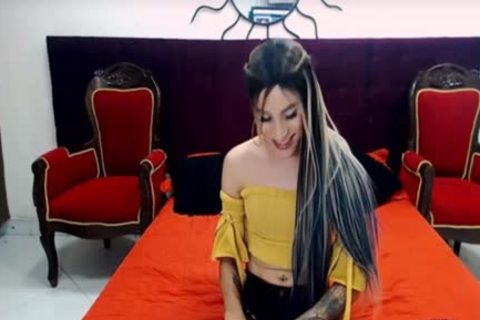 ladyboy playgirl With Tattoo Masturbate On webcam