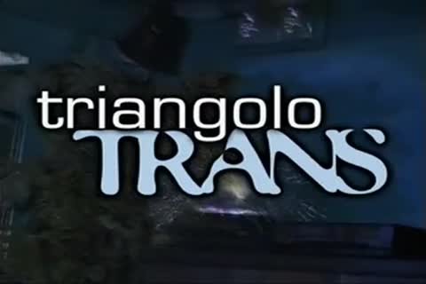 wild Vintage orgy With attractive trannys