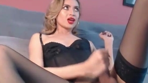 slim Colombian t-girl In darksome lingerie And stockings Tugs Her enormous 10-Pounder