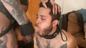 domme, Transexual, And slave