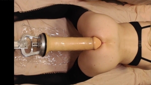 Taking once again My 14 Inch King cock most In