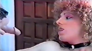 1977 Vintage ladyboy Porn Classic